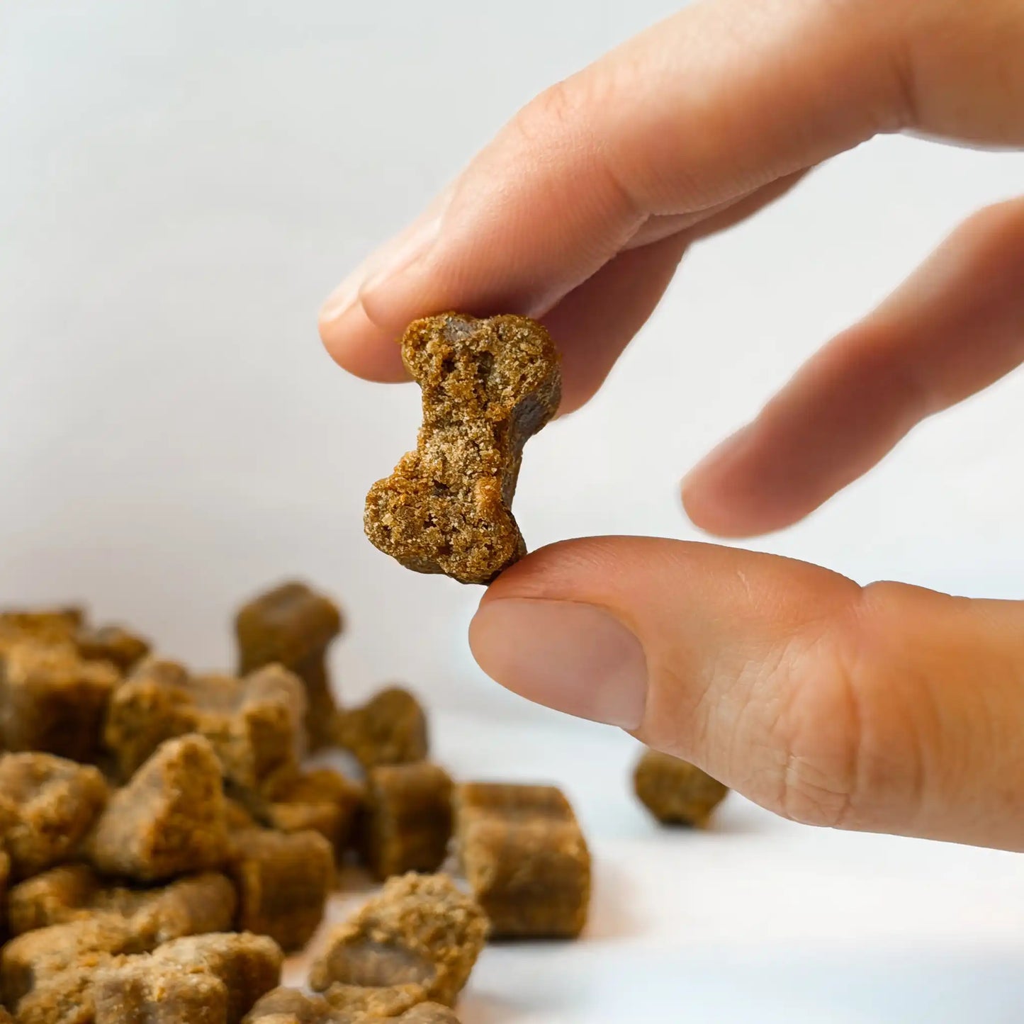 Snacks con forma de hueso del suplemento de Articulaciones y Movilidad Gutsy