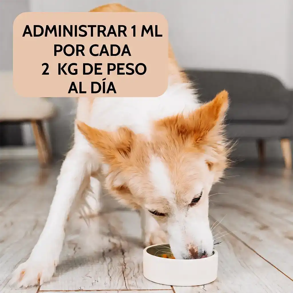 Cómo administrar el aceite Proflax: dosis diaria vertida sobre la comida del perro