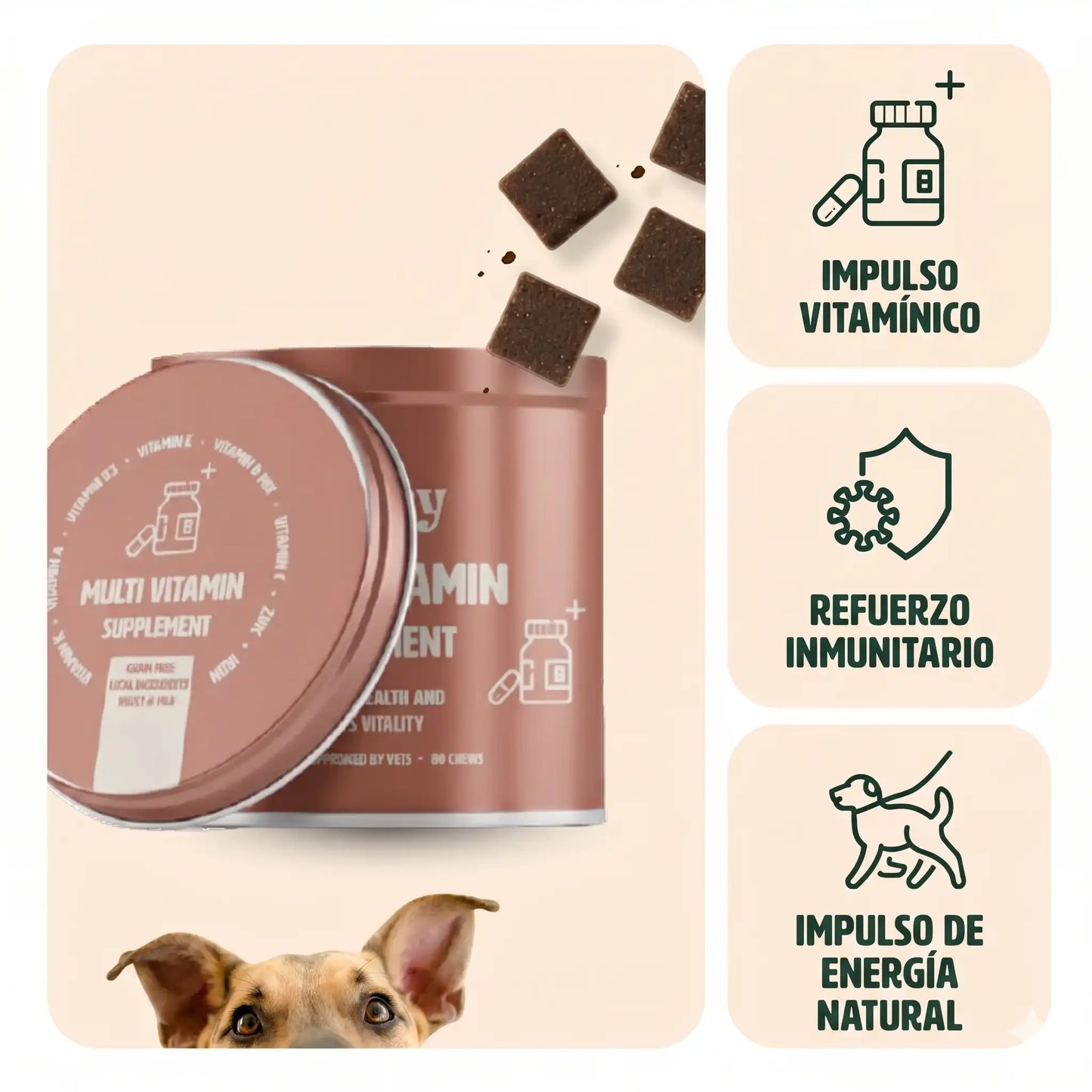 Beneficios del Multivitamínico Gutsy para la energía y vitalidad del perro