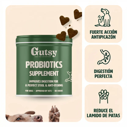 Infografía del suplemento probiótico Gutsy para perros. Muestra la lata verde con snacks en forma de corazón y destaca tres beneficios clave: digestión perfecta, fuerte efecto contra el picor y reducción del lamido de patas.