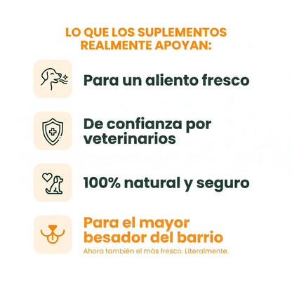 Beneficios del suplemento dental Gutsy para la salud bucal y dental de los perros
