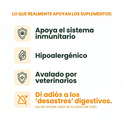 Infografía con los beneficios principales del suplemento probiótico Gutsy para perros. Destaca cuatro ventajas clave: apoya el sistema inmunitario, es una fórmula hipoalergénica, está avalado por veterinarios y ayuda a decir adiós a los desastres digestivos.