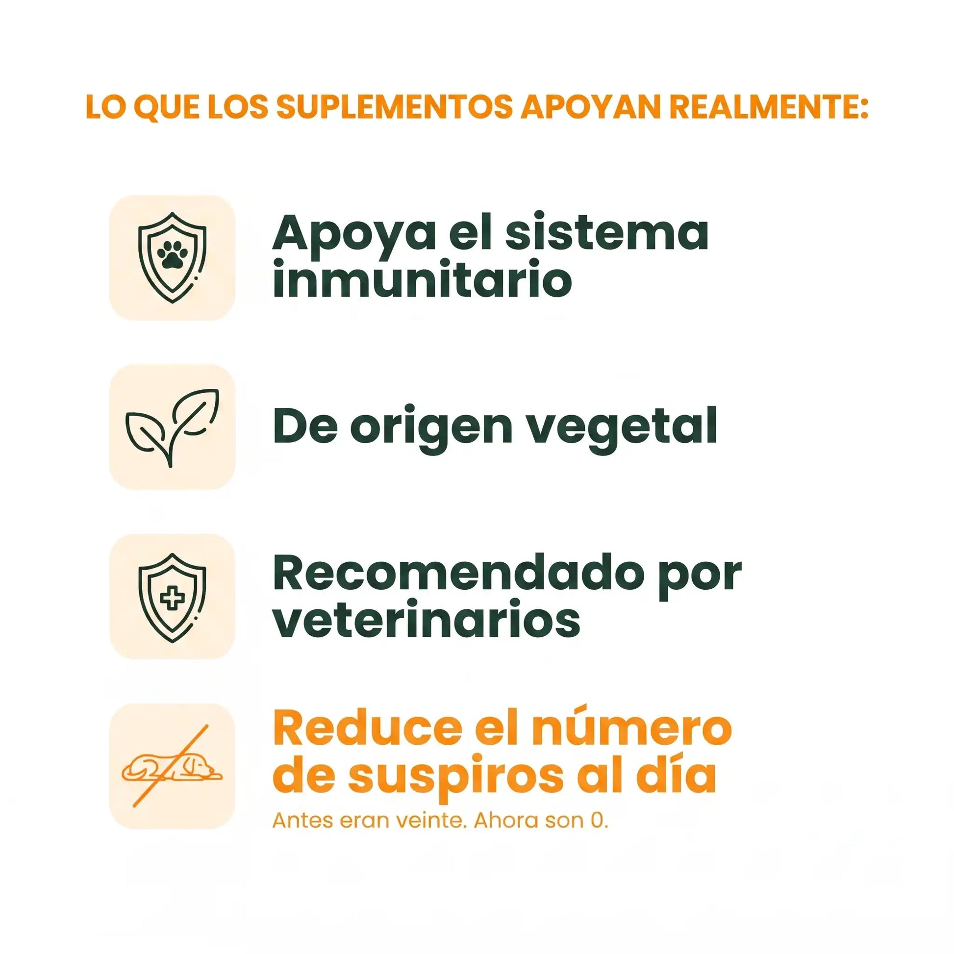 Infografía de los beneficios del suplemento de vitaminas Gutsy para perros