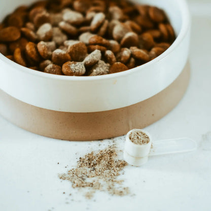 Bol de comida para perro con una dosis de Polvo Dental Gutsy