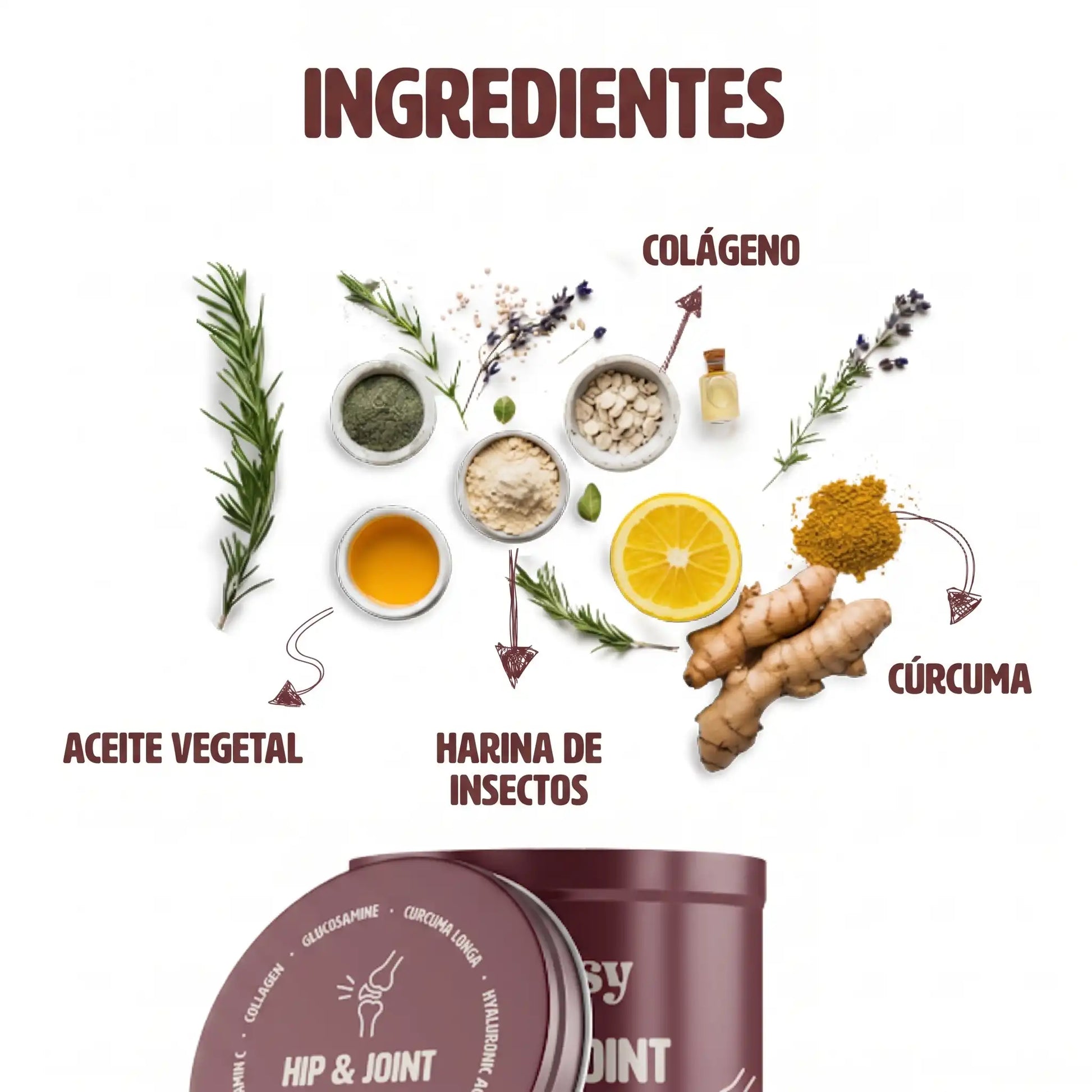 Ingredientes del suplemento de articulaciones Gutsy para perros