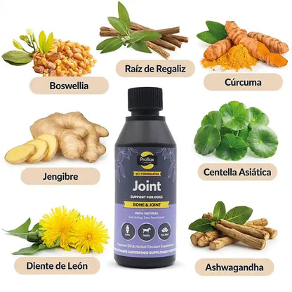  Ingredientes de Articulaciones Activas Proflax: boswellia, cúrcuma, jengibre, centella asiática y ashwagandha