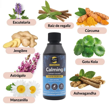 ingredientes listados del supleento de proflax calma total, calming, calm & collected con manzanilla, ashgawanda, astragalo, jengibre, regaliz, curcuma