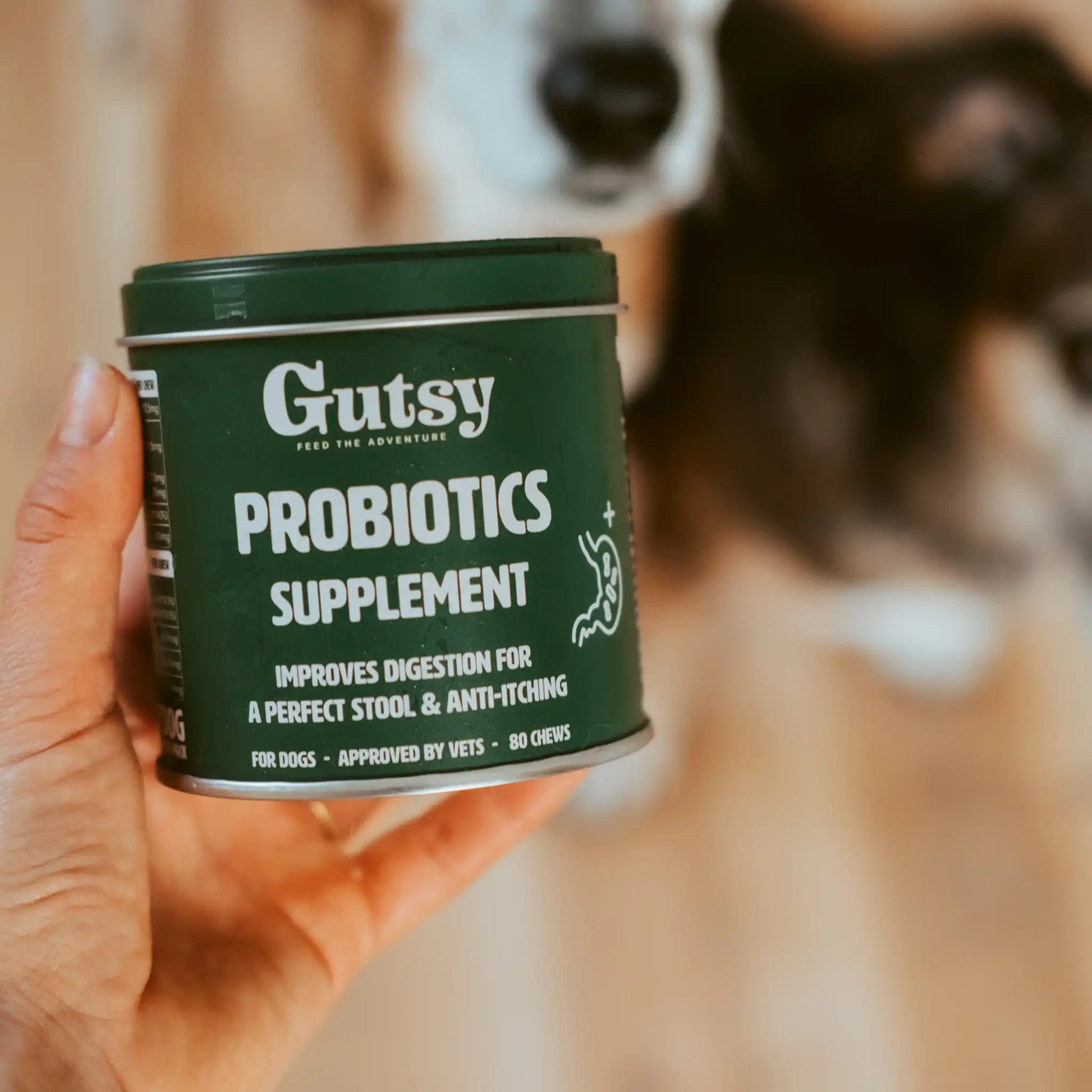 Persona sosteniendo en su mano la lata verde del suplemento de probióticos Gutsy para perros, diseñada para mejorar la digestión y reducir los picores, con un perro desenfocado en el fondo.
