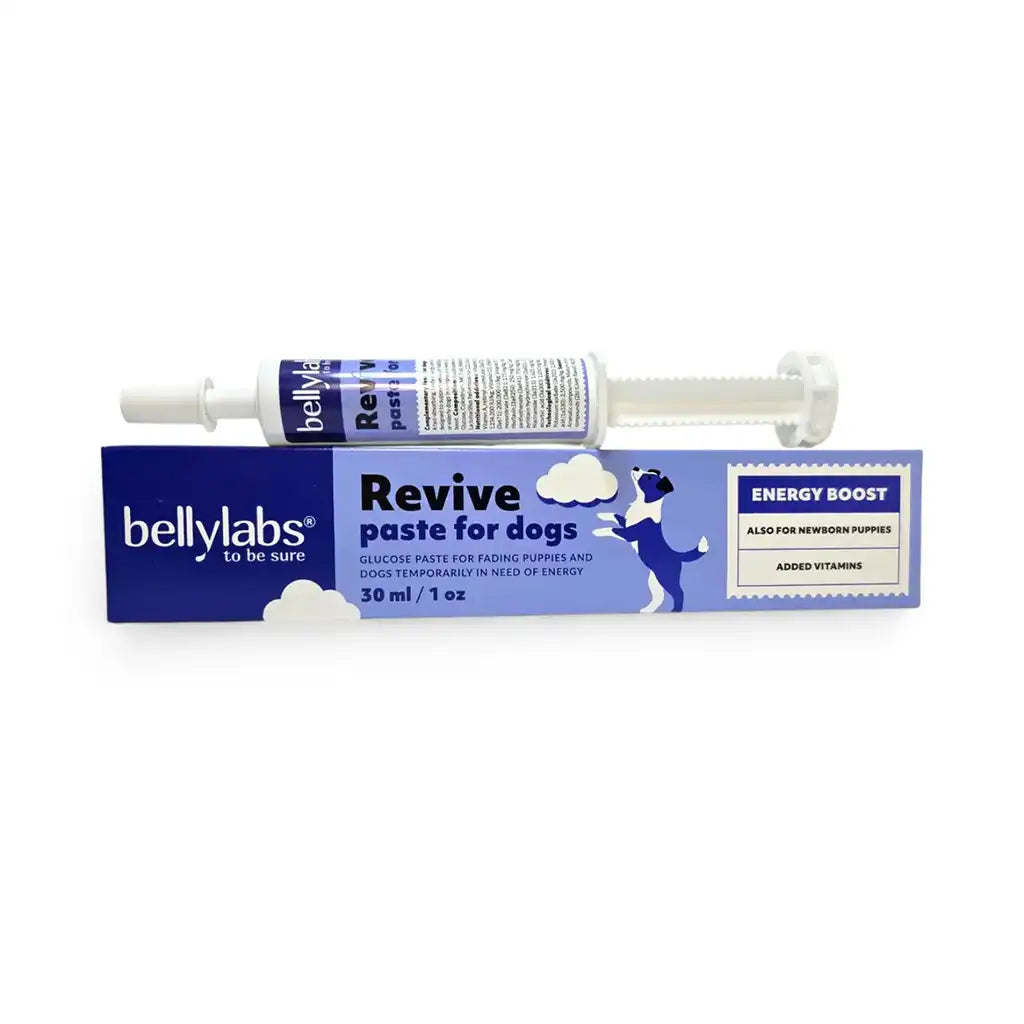 Pasta Revive Bellylabs, suplemento energético para cachorros débiles y perros en recuperación