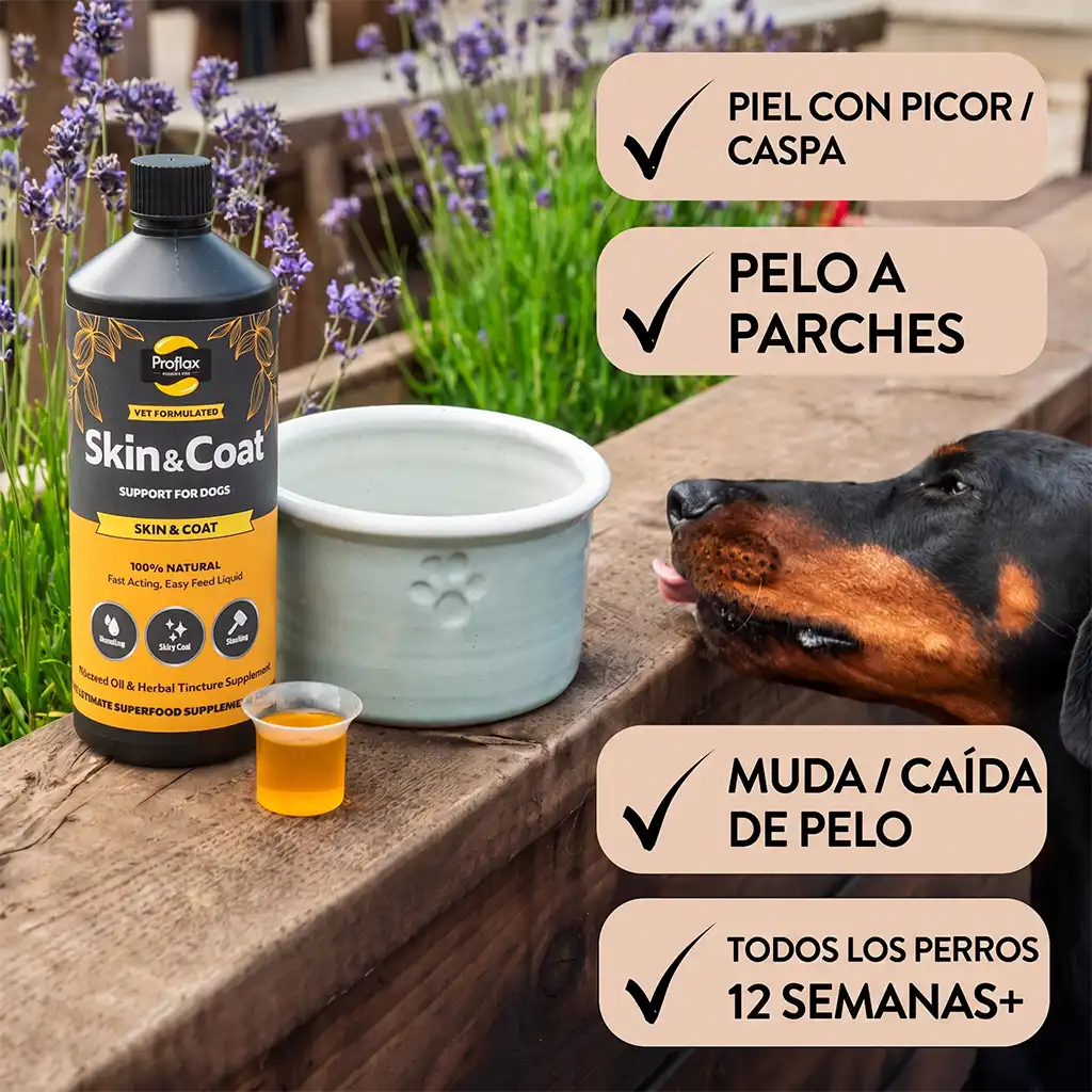 Suplemento Proflax Piel y Pelaje indicado para perros con piel seca, sensible o pelaje apagado