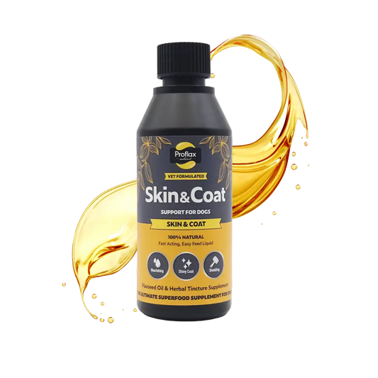  Bote de aceite Piel Sana Pelo Brillante de Proflax, suplemento natural para la piel y el pelaje del perro
