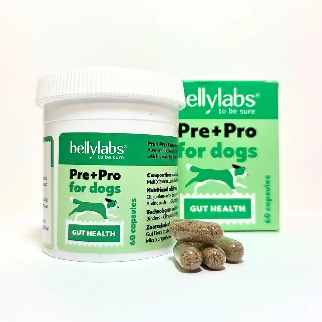 Pre+Pro Bellylabs, prebióticos y probióticos para perros con intestino sensible, bote de 60 cápsulas