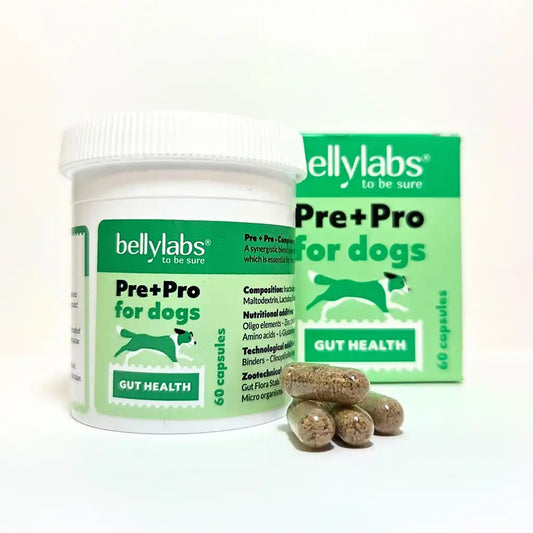 Pre+Pro Bellylabs, prebióticos y probióticos para perros con intestino sensible, bote de 60 cápsulas