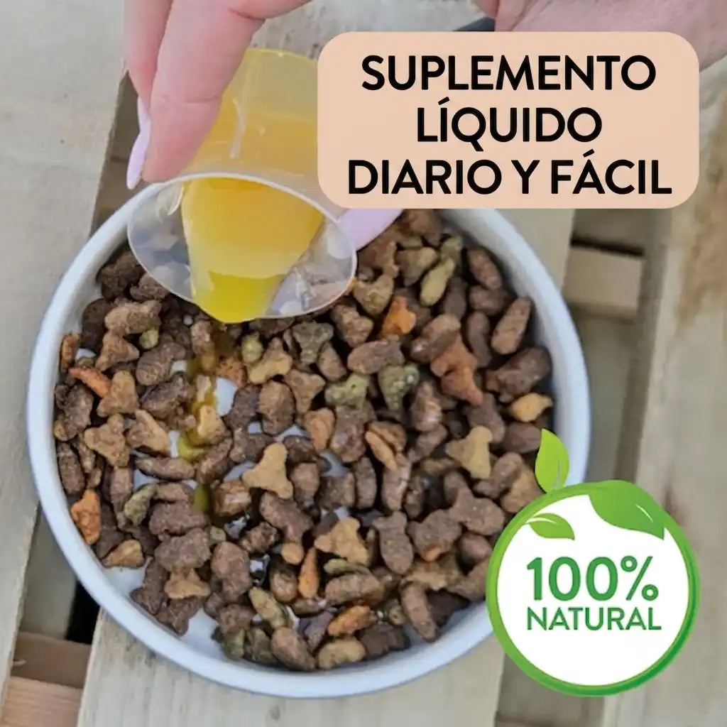 bol de alimento de perros con aceite cayendo sobre el pienso, mostrando cmo mezclar el suplemento con la comida
